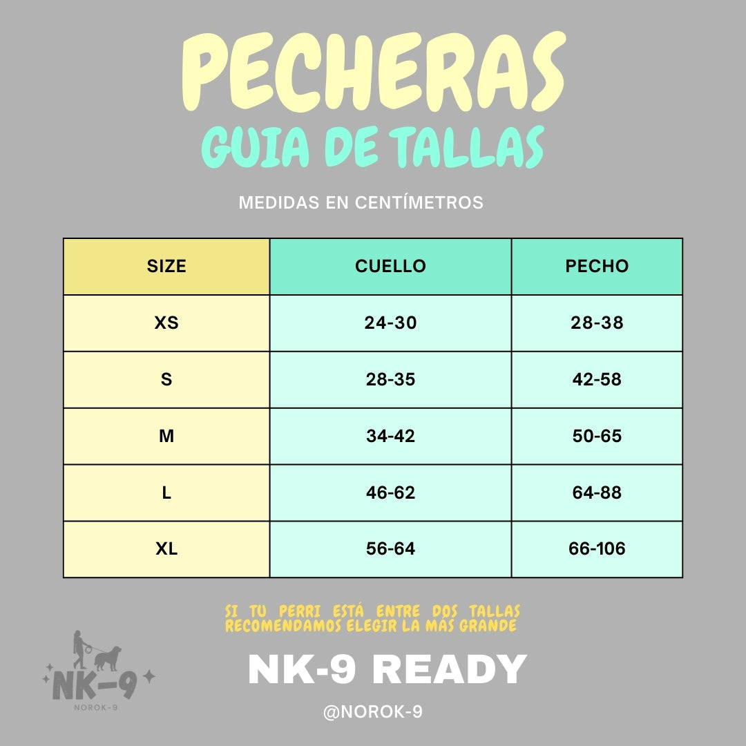 Kit 4x2 Pecheras Ready