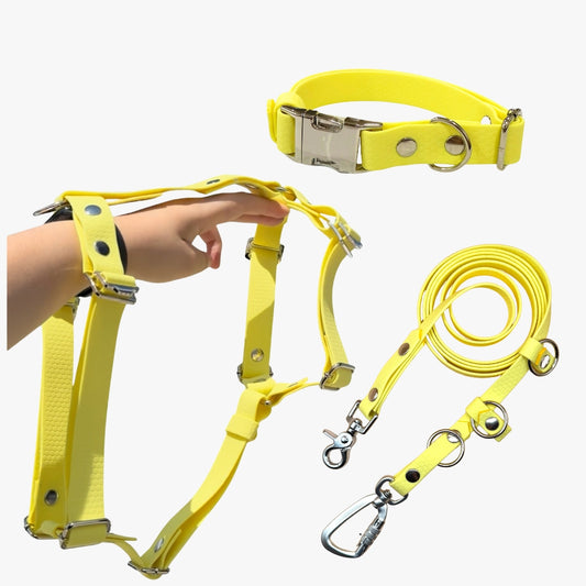 Kit Basic Ready