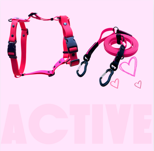 Active Adventure