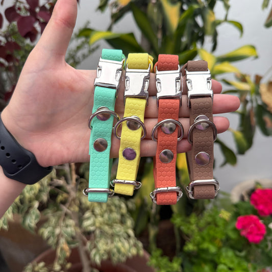 Paquete Collares Ready