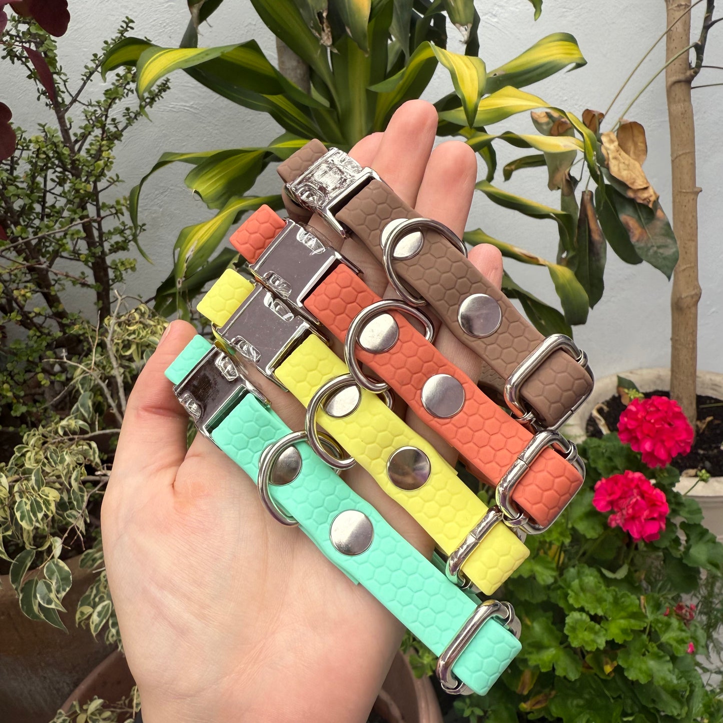 Paquete Collares Ready