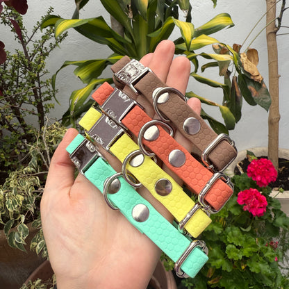 Paquete Collares Ready