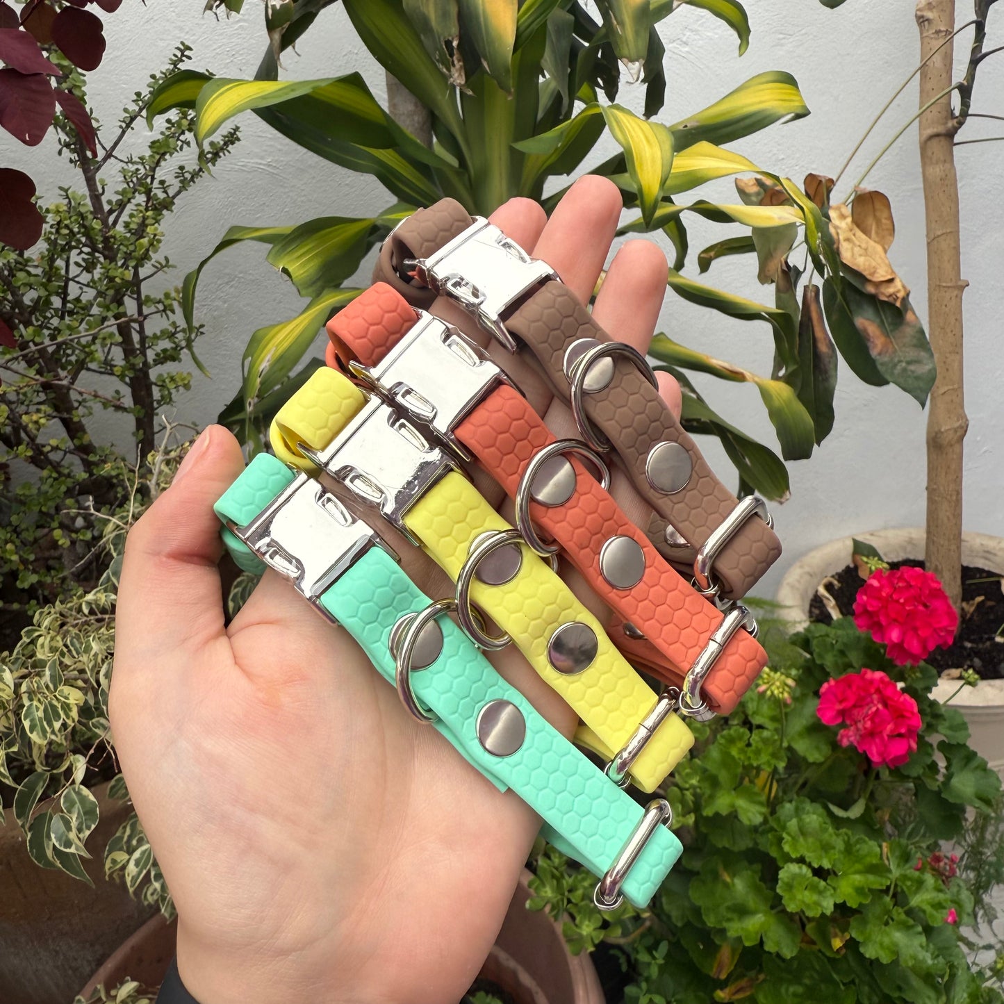 Paquete Collares Ready