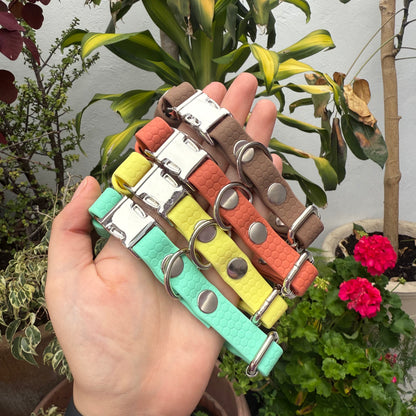 Paquete Collares Ready