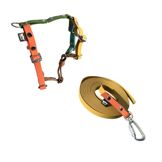 Kit Adventure (Select) Caminos de Otoño