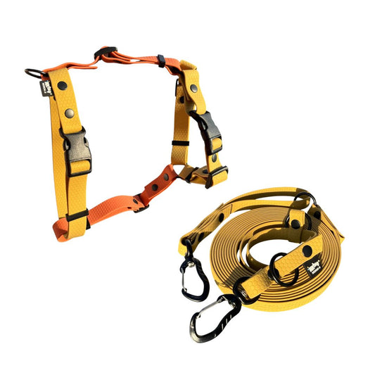 Kit Adventure (Active y Ready) Caminos de Otoño
