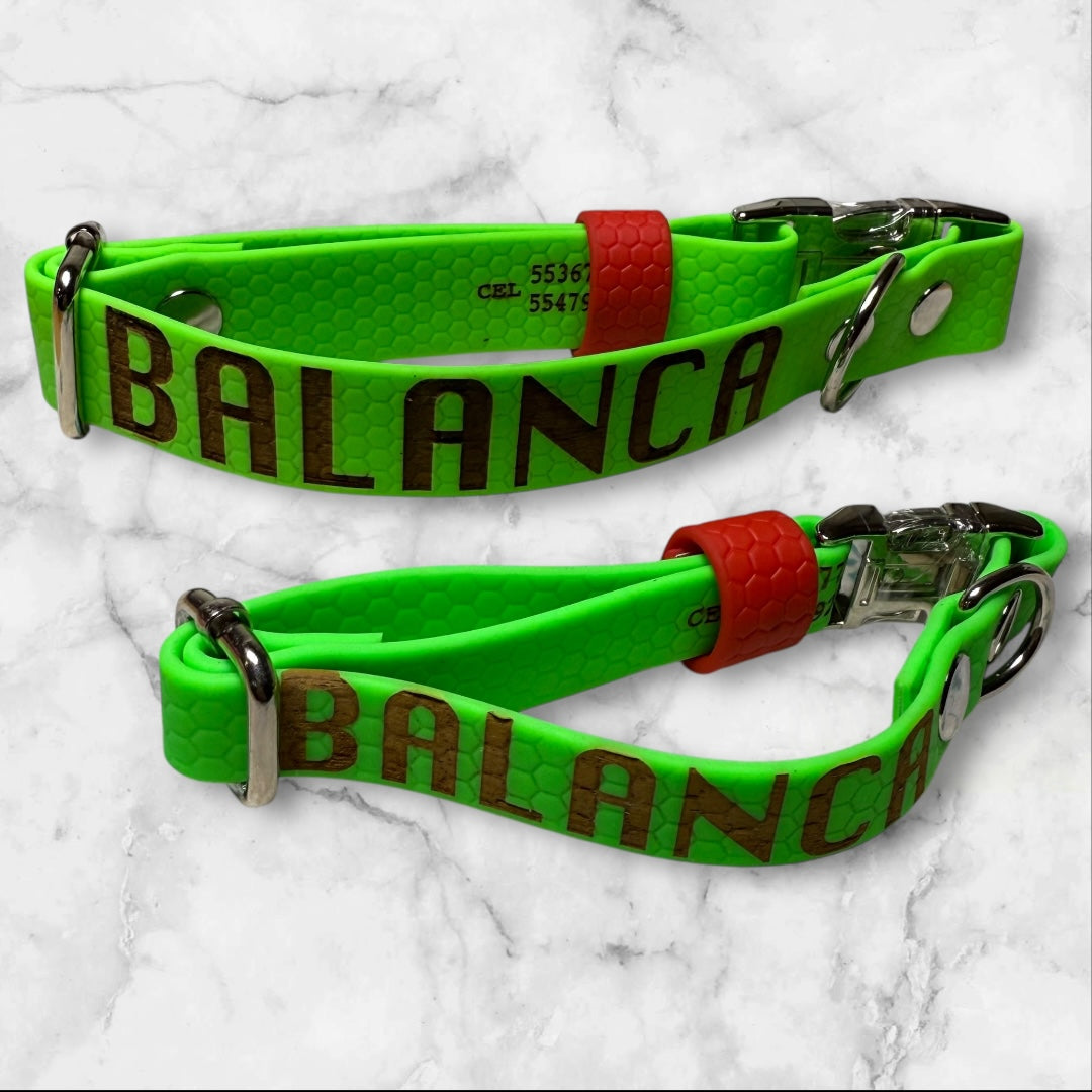 Kit Collares de Cachorro a Adulto