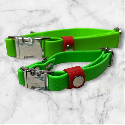 Kit Collares de Cachorro a Adulto