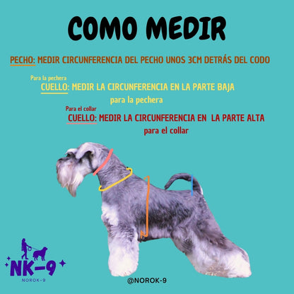 Pechera Postales de Verano