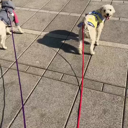 Kit Plus Paseo para 2 o 3 Perris